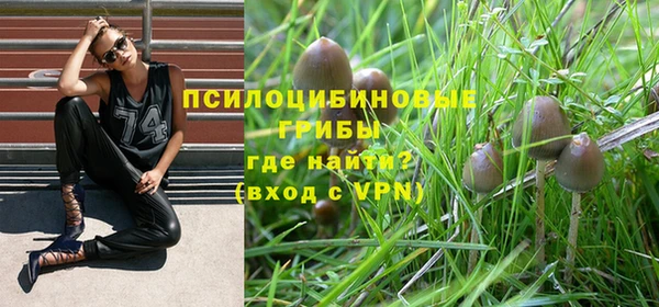 героин Верея