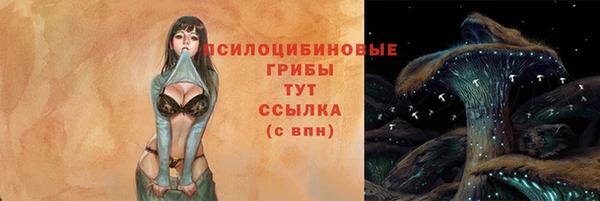 дурь Верхний Тагил