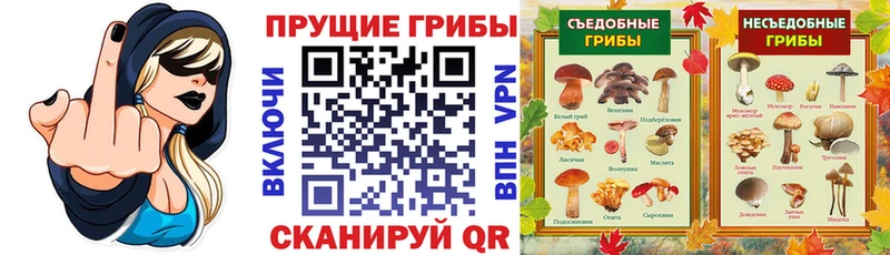 Псилоцибиновые грибы мухоморы  как найти закладки  Грязовец 